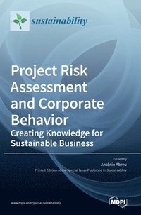 bokomslag Project Risk Assessment and Corporate Behavior