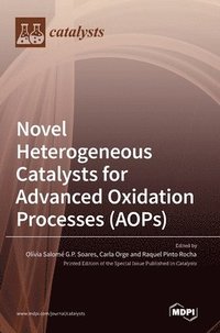 bokomslag Novel Heterogeneous Catalysts for Advanced Oxidation Processes (AOPs)