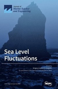 bokomslag Sea Level Fluctuations