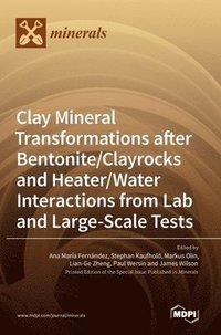 bokomslag Clay Mineral Transformations after Bentonite/Clayrocks and Heater/Water Interactions from Lab and Large-Scale Tests
