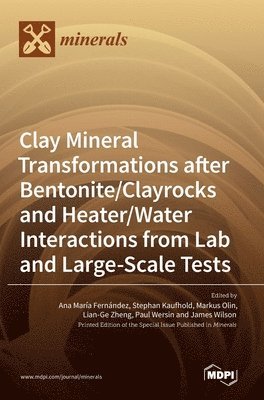 Clay Mineral Transformations after Bentonite/Clayrocks and Heater/Water Interactions from Lab and Large-Scale Tests 1