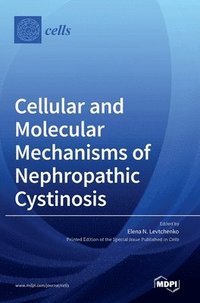 bokomslag Cellular and Molecular Mechanisms of Nephropathic Cystinosis