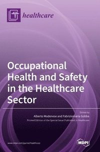 bokomslag Occupational Health and Safety in the Healthcare Sector