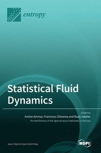 bokomslag Statistical Fluid Dynamics