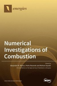 bokomslag Numerical Investigations of Combustion