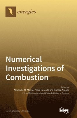 Alexandre M Afonso, Pedro Resende, Mohsen Ayoobi - Numerical Investigations of Combustion, Inbunden