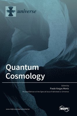 Paulo Vargas Moniz - Quantum Cosmology, Inbunden