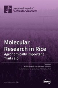 bokomslag Molecular Research in Rice