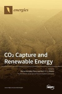 bokomslag CO2 Capture and Renewable Energy