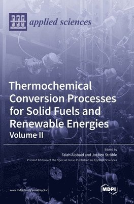 bokomslag Thermochemical Conversion Processes for Solid Fuels and Renewable Energies: Volume II