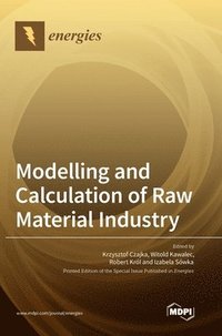 bokomslag Modelling and Calculation of Raw Material Industry