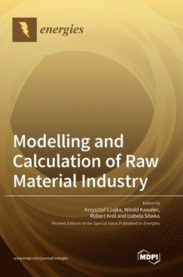 bokomslag Modelling and Calculation of Raw Material Industry