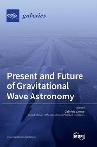 bokomslag Present and Future of Gravitational Wave Astronomy