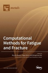 bokomslag Computational Methods for Fatigue and Fracture