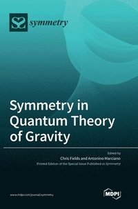 bokomslag Symmetry in Quantum Theory of Gravity
