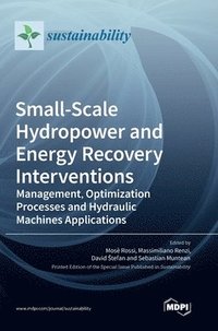 bokomslag Small-Scale Hydropower and Energy Recovery Interventions