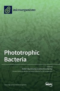 bokomslag Phototrophic Bacteria