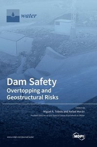bokomslag Dam Safety.