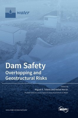 bokomslag Dam Safety.