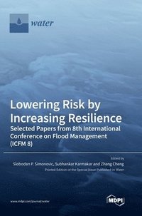 bokomslag Lowering Risk by Increasing Resilience