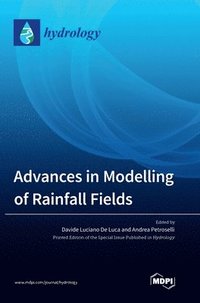 bokomslag Advances in Modelling of Rainfall Fields