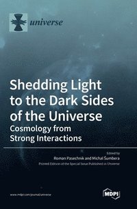 bokomslag Shedding Light to the Dark Sides of the Universe