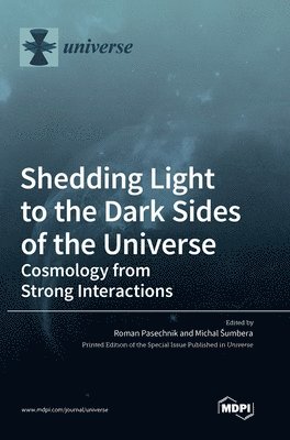 bokomslag Shedding Light to the Dark Sides of the Universe