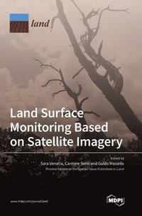 bokomslag Land Surface Monitoring Based on Satellite Imagery