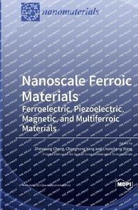 bokomslag Nanoscale Ferroic Materials