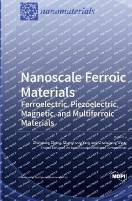 Nanoscale Ferroic Materials 1
