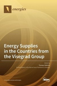 bokomslag Energy Supplies in the Countries from the Visegrad Group