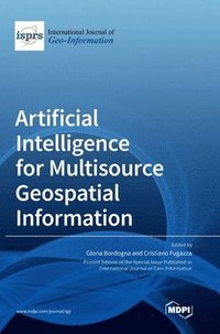 bokomslag Artificial Intelligence for Multisource Geospatial Information