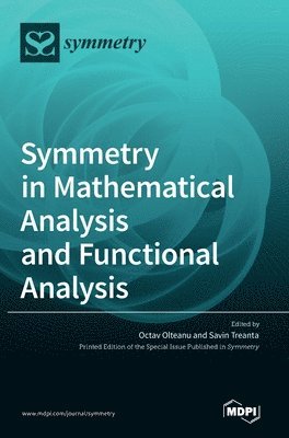 bokomslag Symmetry in Mathematical Analysis and Functional Analysis