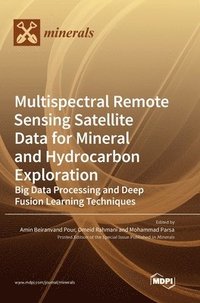 bokomslag Multispectral Remote Sensing Satellite Data for Mineral and Hydrocarbon Exploration