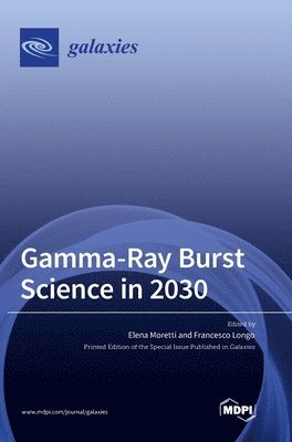 Gamma-Ray Burst Science in 2030 1