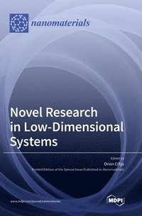 bokomslag Novel Research in Low-Dimensional Systems