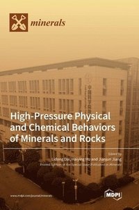 bokomslag High-Pressure Physical and Chemical Behaviors of Minerals and Rocks