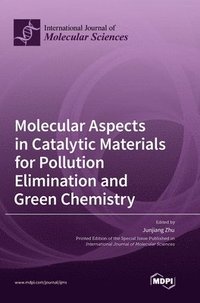 bokomslag Molecular Aspects in Catalytic Materials for Pollution Elimination and Green Chemistry