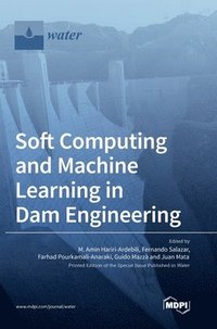 bokomslag Soft Computing and Machine Learning in Dam Engineering