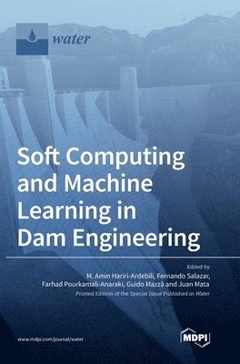 bokomslag Soft Computing and Machine Learning in Dam Engineering