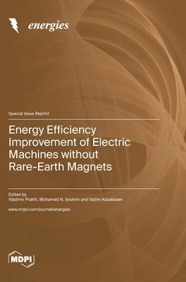 bokomslag Energy Efficiency Improvement of Electric Machines without Rare-Earth Magnets