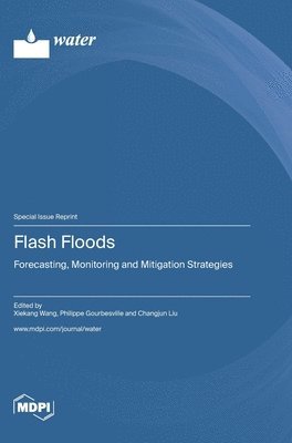 Flash Floods 1