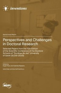 bokomslag Perspectives and Challenges in Doctoral Research