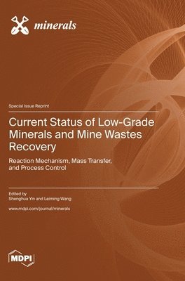 bokomslag Current Status of Low-Grade Minerals and Mine Wastes Recovery