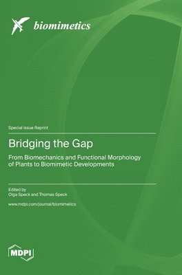 Bridging the Gap 1