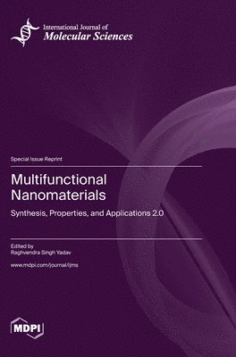 bokomslag Multifunctional Nanomaterials