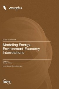 bokomslag Modeling Energy-Environment-Economy Interrelations