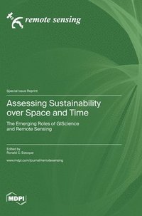 bokomslag Assessing Sustainability over Space and Time