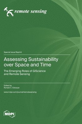 Assessing Sustainability over Space and Time 1