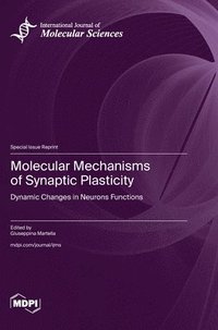 bokomslag Molecular Mechanisms of Synaptic Plasticity